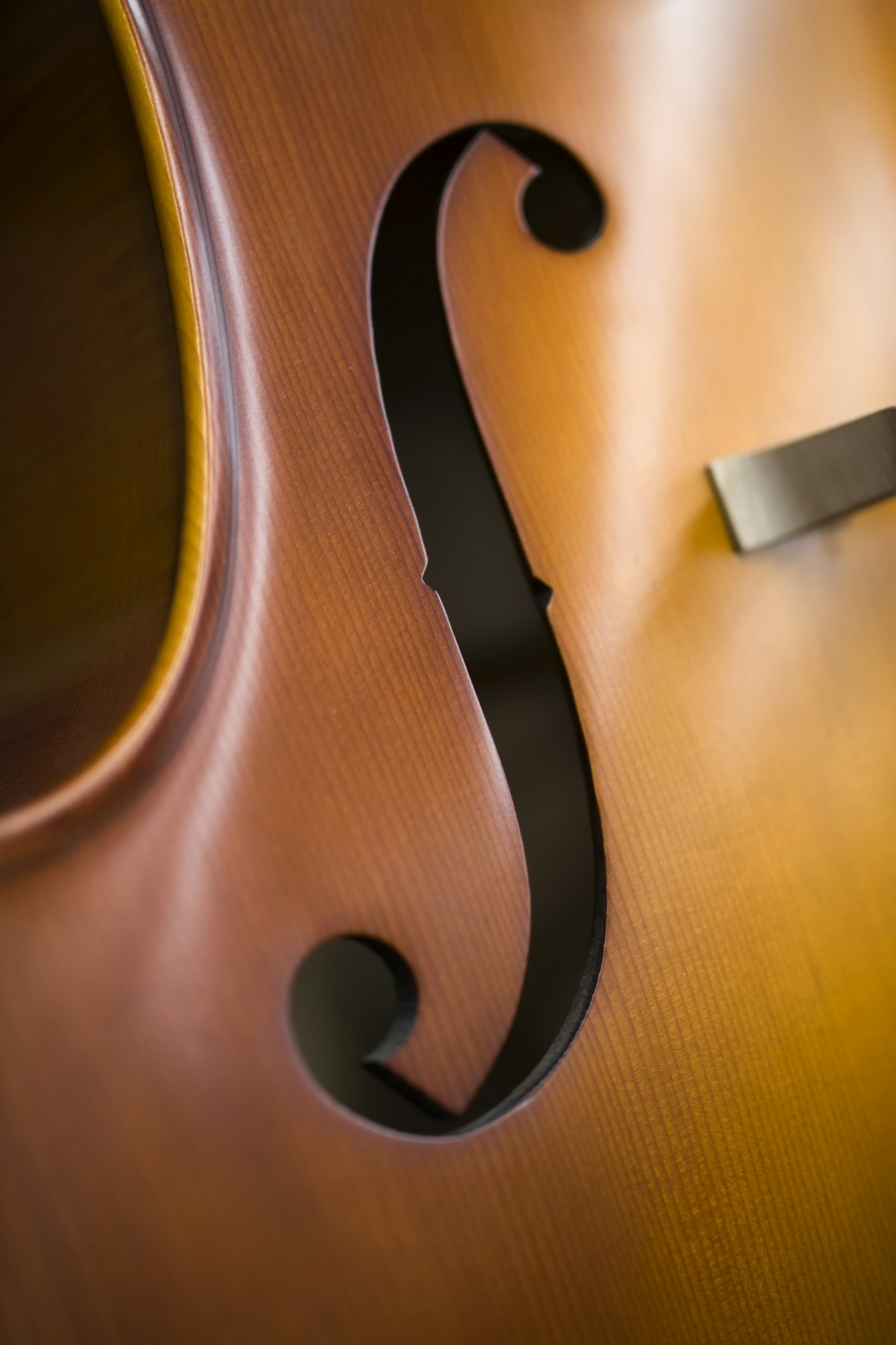 Upright bass